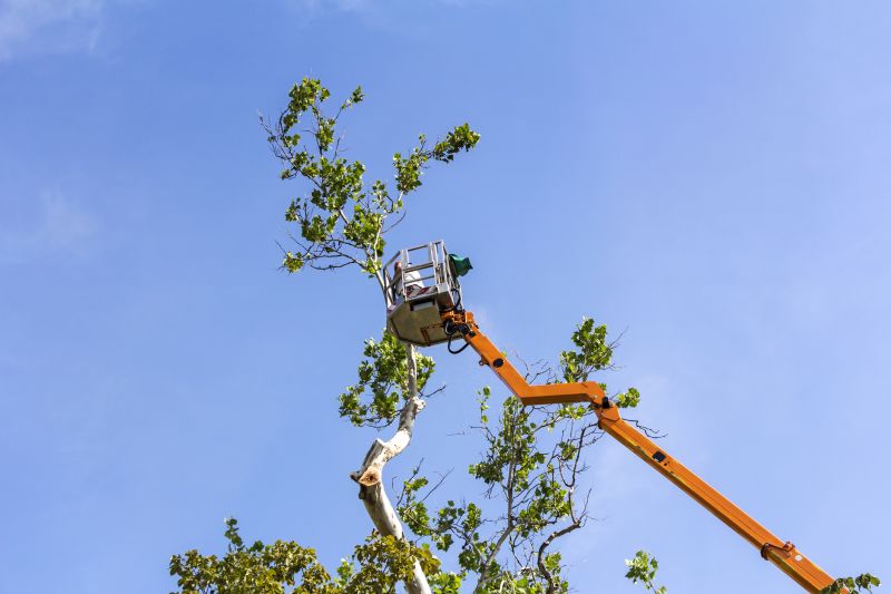 Arboricultural Service