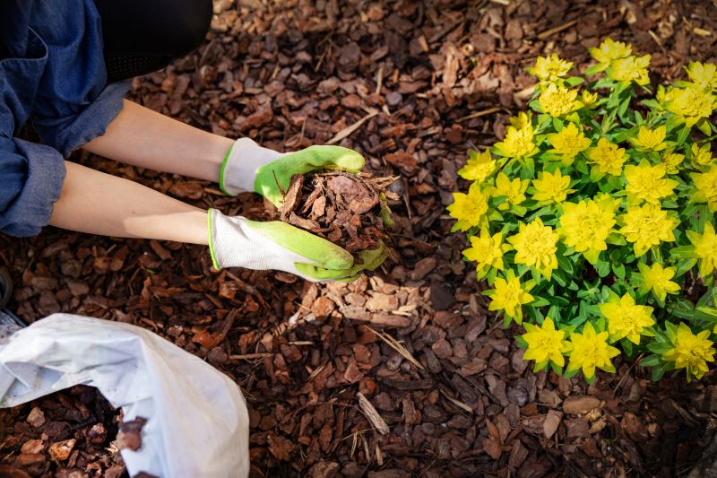 Black Mulch Installation in Honolulu, HI