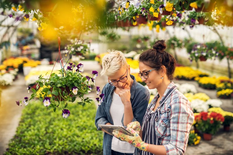 Bush Planting Service in Ventura County, CA