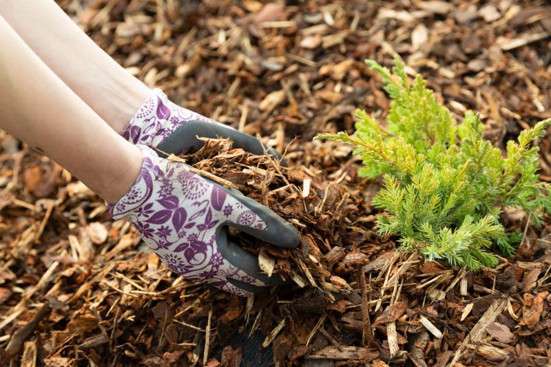 Cypress Mulch Installation in Honolulu, HI