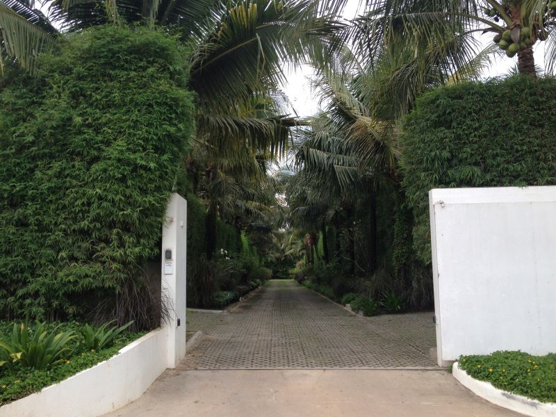 Hedge Installation in Ventura County, CA