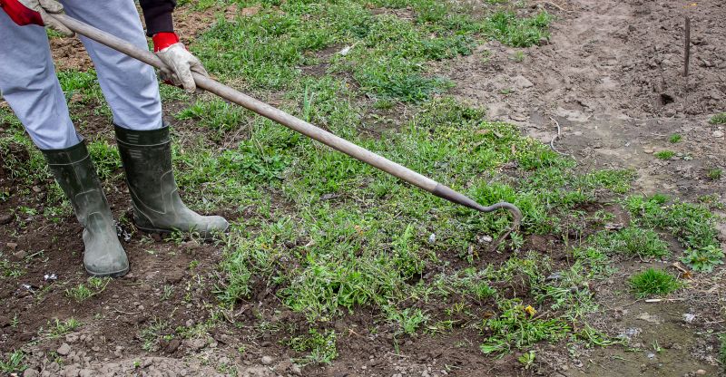 Home Gardening Service in Ventura County, CA