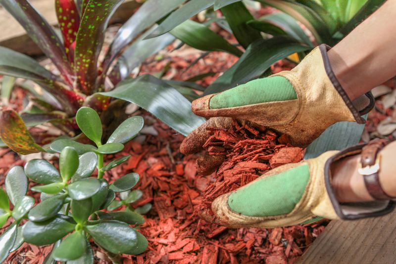 Weeding And Mulching in Ventura County, CA